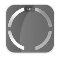 Напольные весы Centek CT-2425 Gray