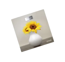 Напольные весы Centek CT-2428flw