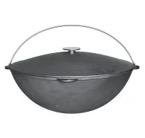 Казан Биол 0918