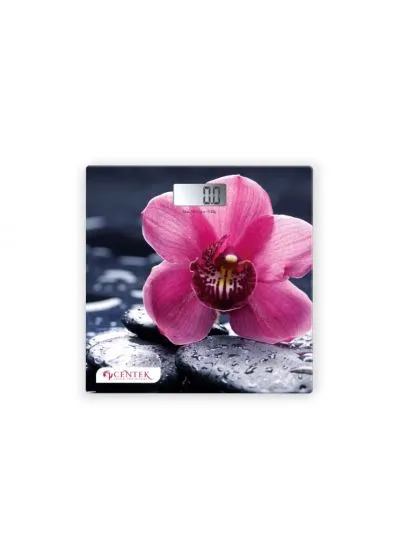 Напольные весы Centek CT-2421