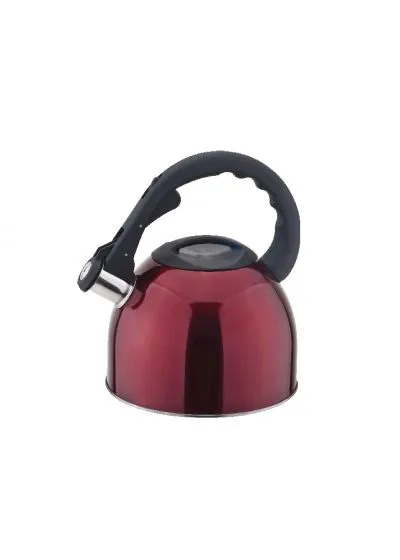 Чайник со свистком AURORA AU604