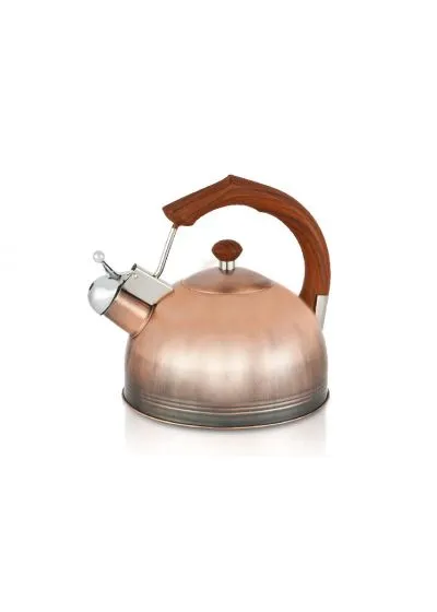Чайник со свистком LARA LR00-18-RB