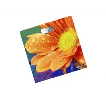 Напольные весы Centek CT-2420 Гербера