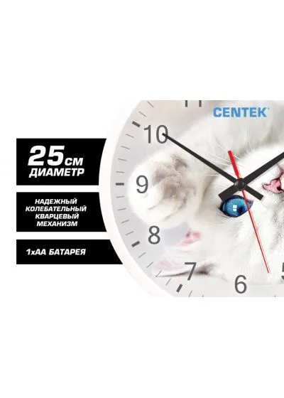 Часы Сentek CT-7104C