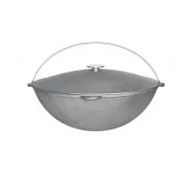 Казан Биол 0912