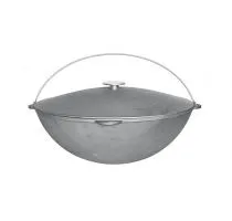 Казан Биол 0922