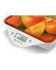 Весы кухонные Centek CT-2455